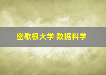 密歇根大学 数据科学